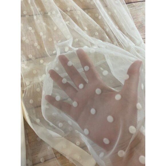 NWT Zara Women's Tulle Sheer Mesh Dot Dress - Small - Picture 6 of 13